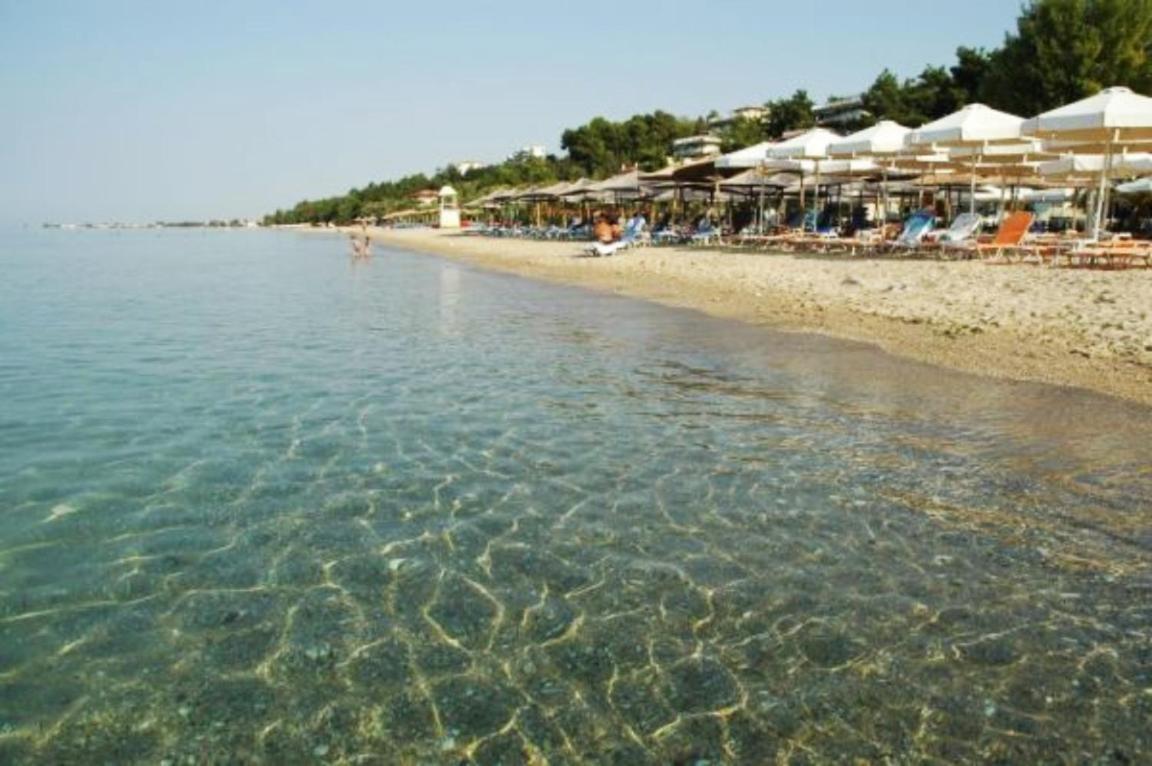 Villa Veneti - Probio - 140M2 Nea Moudania Buitenkant foto